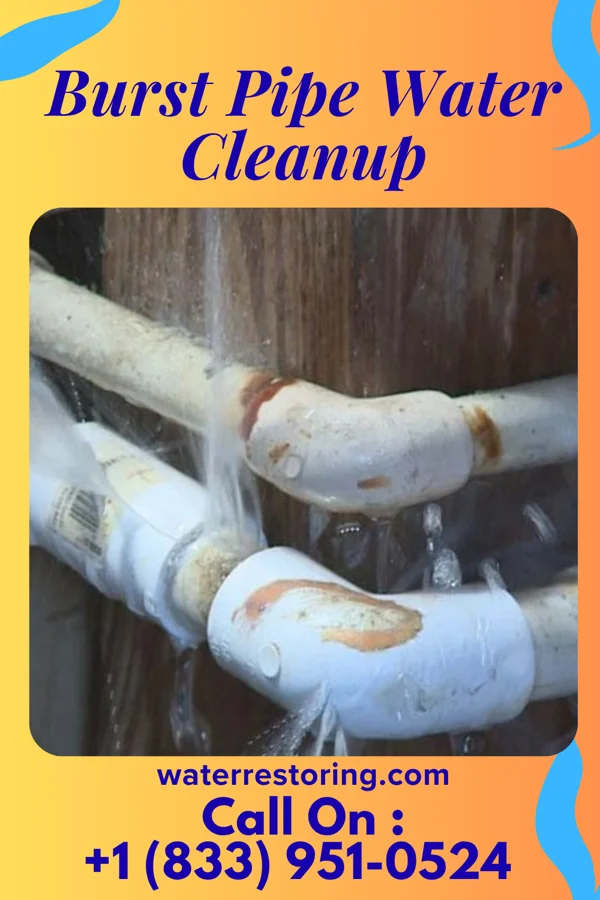 Burst Pipe Water Cleanup in Buckley, MI