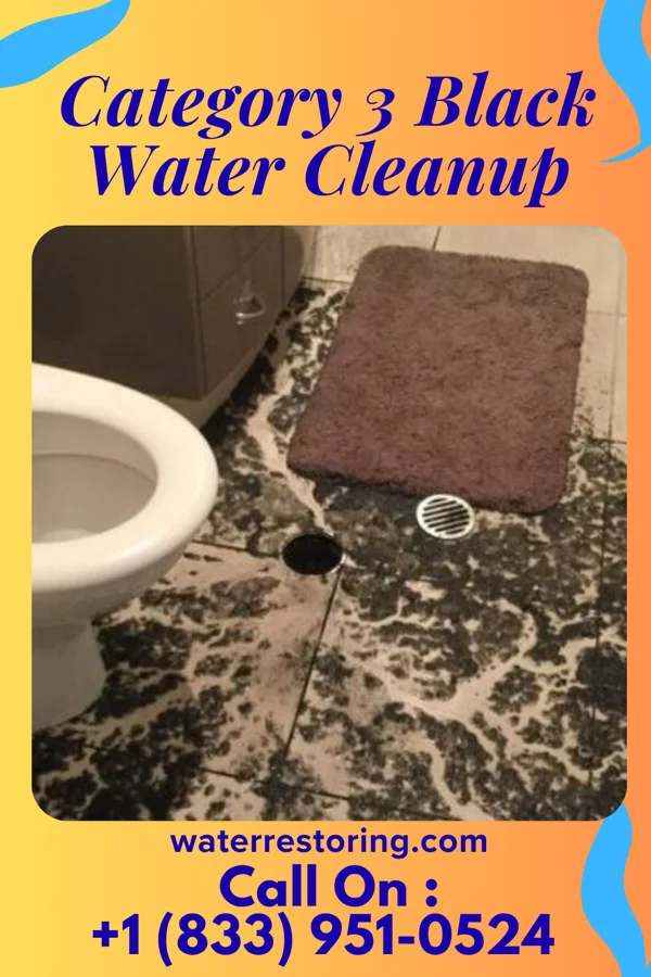 Category 3 Black Water Cleanup in Buckley, MI