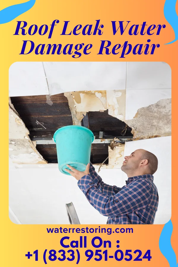 Roof Leak Water Damage Repair in Buckley, MI