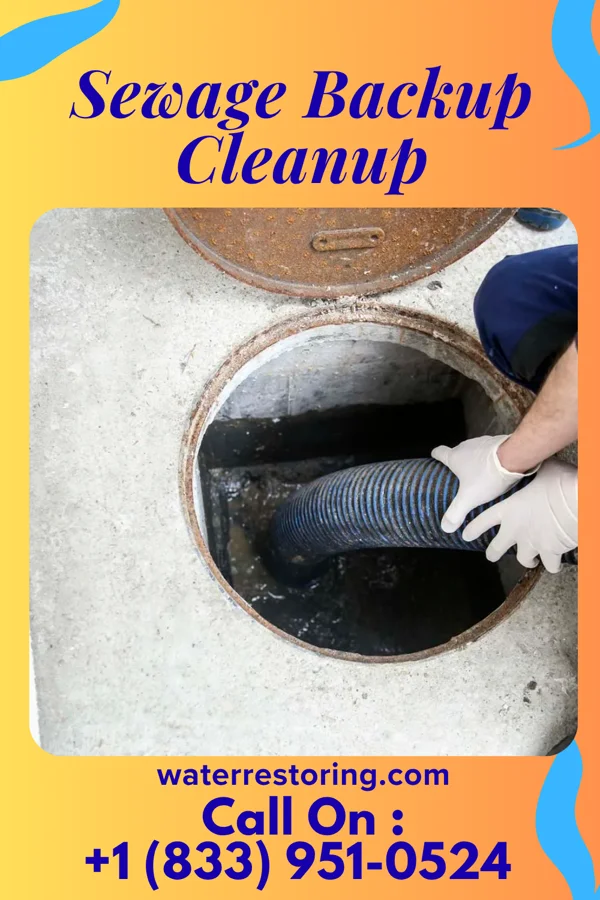 Sewage Backup Cleanup in Buckley, MI